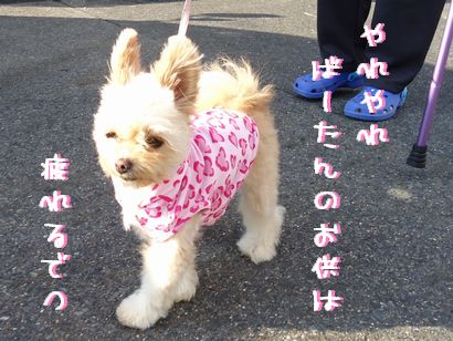 あーたんがんばれ