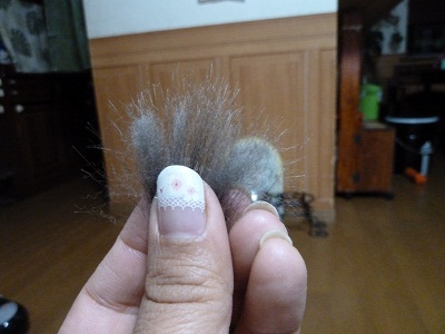 クロミ