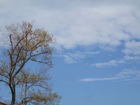 DSCF1582s-.jpg