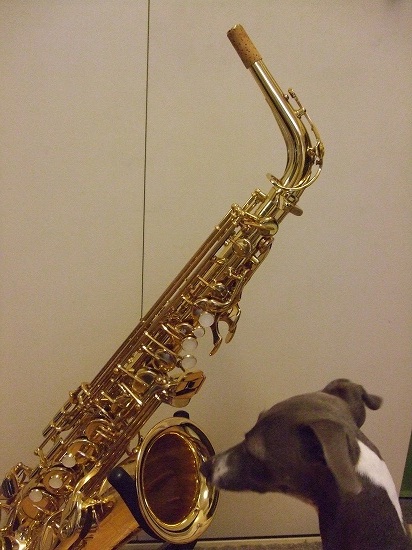 DSCF2023s-.jpg