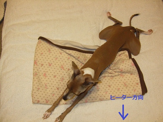 DSCF2090s-.jpg