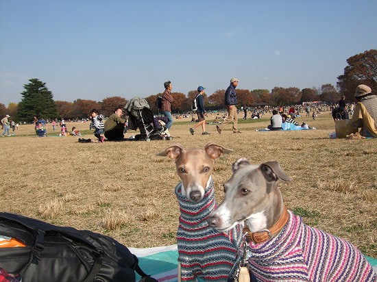 DSCF2162s-.jpg