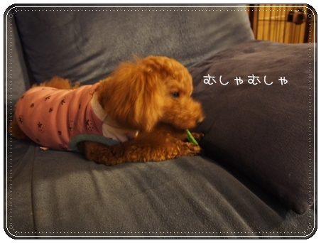 2013 04 20_6719