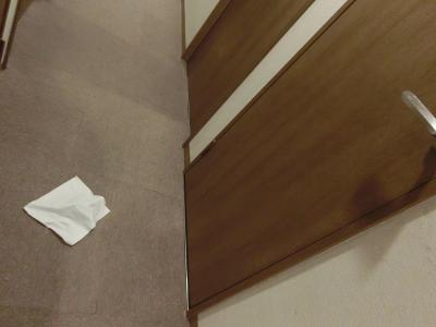 2013_1209_154653-CIMG4421_convert_20131214213259.jpg