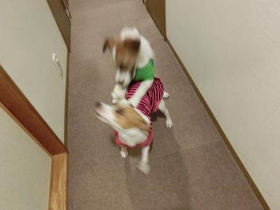 2013_1224_075602-CIMG4474_convert_20131224211618.jpg