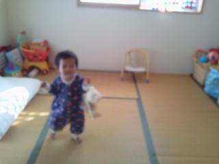 11-10-08_012.jpg
