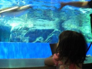 CIMG1904_20130605170254.jpg