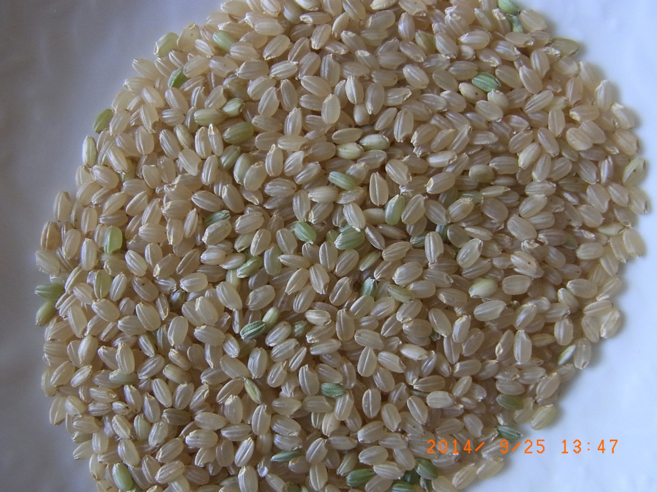 s_R0018042.jpg