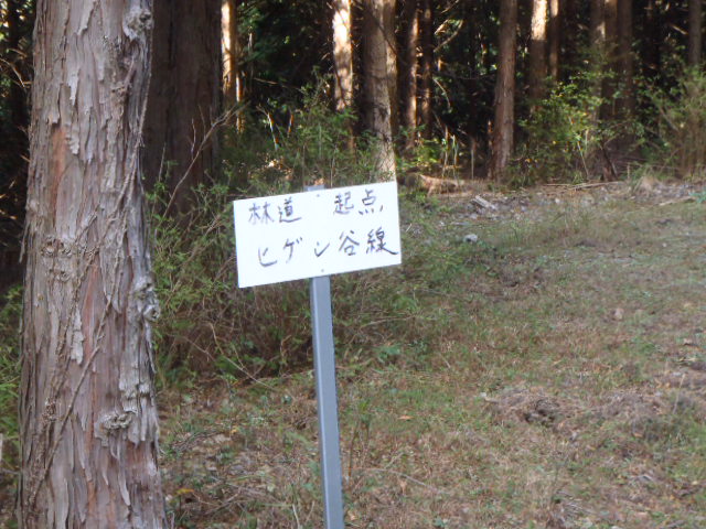 PA290110.jpg