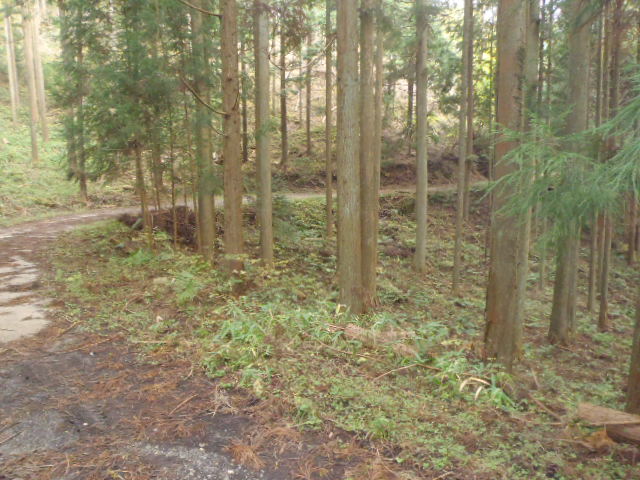 PB050005.jpg