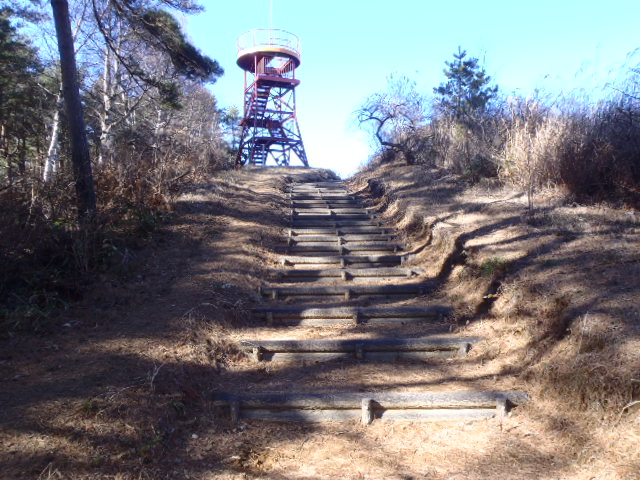 PB260044.jpg