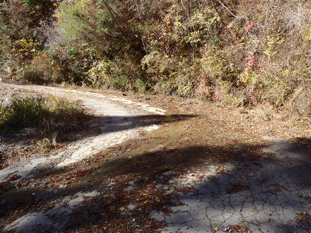 PC040036.jpg
