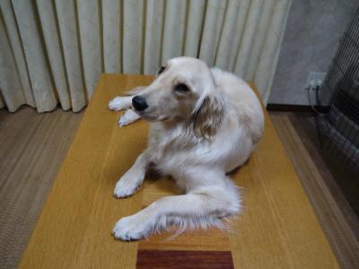 20120402-23_convert_20120402165245.jpg