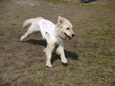20120402-6_convert_20120402164832.jpg