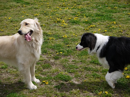20120418-11.jpg