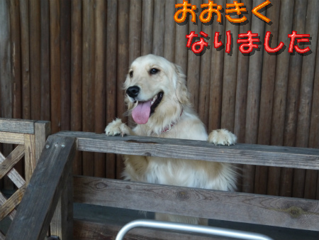 20120418.jpg