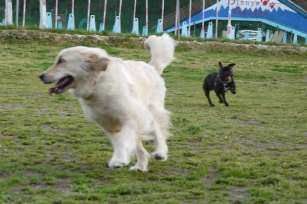 20120422-a (6)