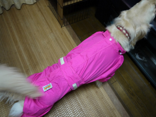 20120423-2 (5)