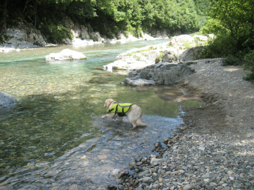 20110701 (4)
