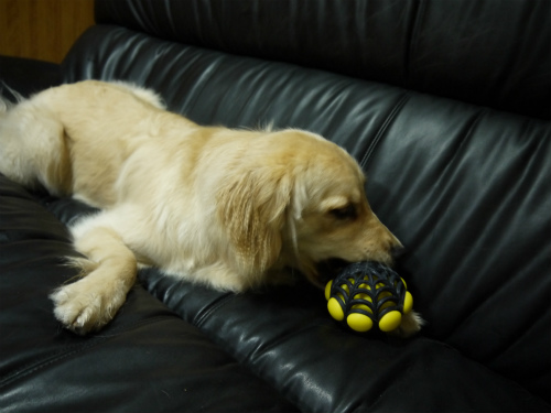 20120425-4.jpg