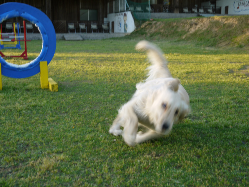 20120427-3 (17)