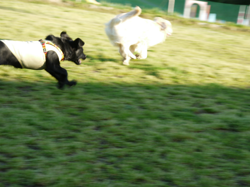 20120428 (21)