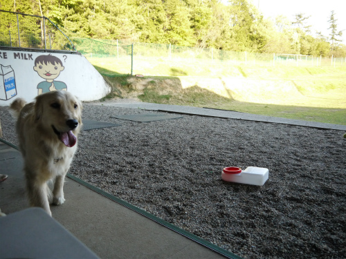 20120428 (24)