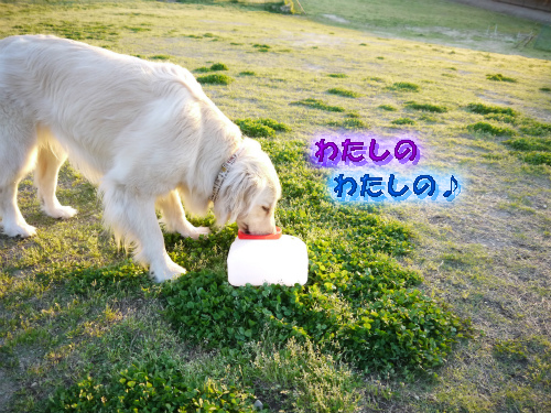 20120429-3.jpg