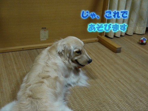 20120502-4.jpg