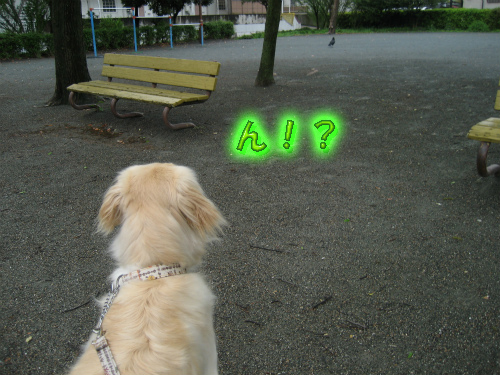 20120504-4.jpg