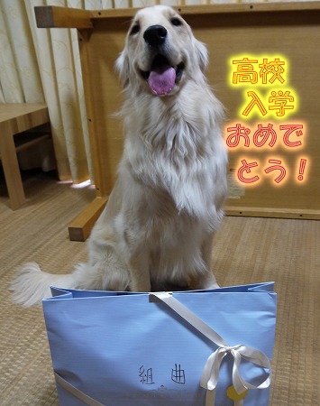 wakana-1.jpg