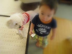 1 子分になります-1
