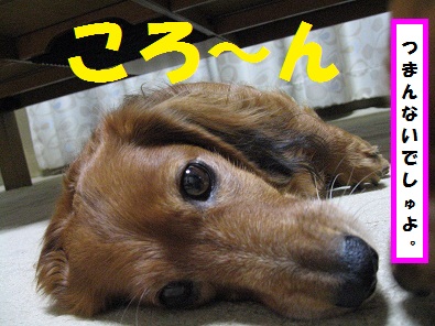 IMG_3839.jpg