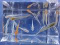 DSC02610_convert_20120408233104.jpg
