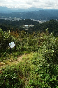 展望台からの眺め