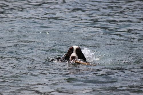 IMG_1209_convert_20140917123335.jpg