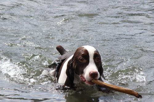 IMG_1212_convert_20140917123426.jpg