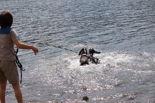 IMG_1233_convert_20140917123549.jpg