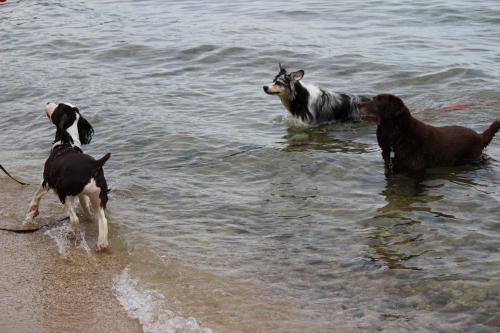 IMG_1607_convert_20140929135047.jpg