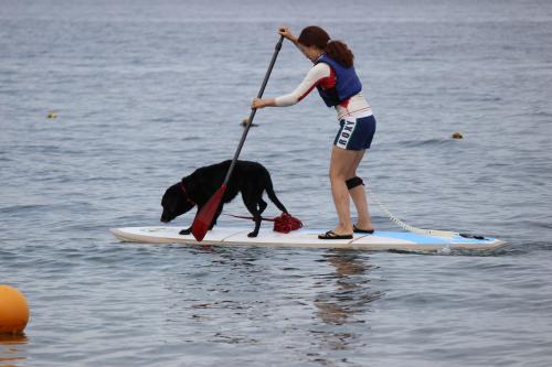 IMG_1628_convert_20140929135120.jpg