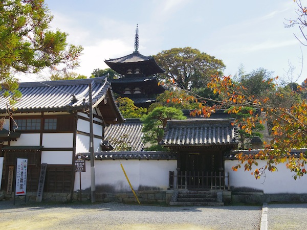 IMGP0189.jpg