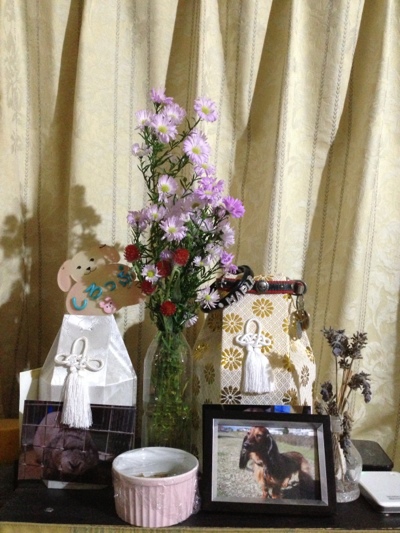 fc2blog_20131205102544b40.jpg