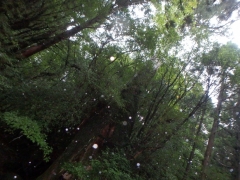 P9150010.jpg