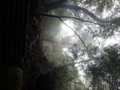 P9150042.jpg