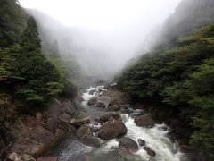 P9150085.jpg