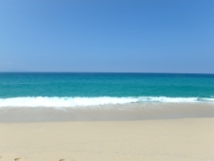 P9160098.jpg