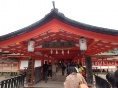 P9190260.jpg