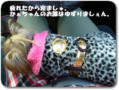 運転事情