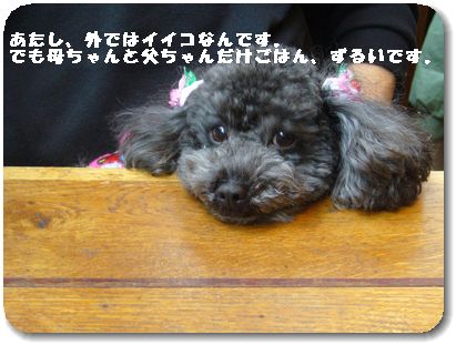モデルさんをやった後は・・・ランチへ。