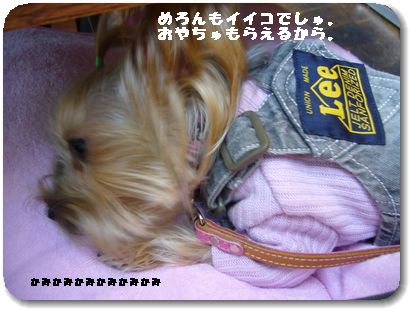 モデルさんをやった後は・・・ランチへ。
